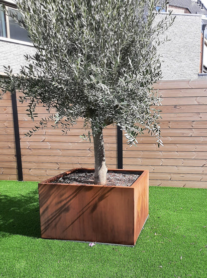 Quadrum - Vierkante Plantenbak